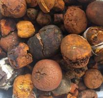  Buy cow /Ox Gallstone Available On Stock Now @ (WhatsApp: +237673528224)