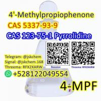 Factory supply 4MPF CAS 5337-93-9 4'-Methylpropiophenone cas 123-75-1 telegram@jskchem