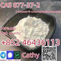 99% 2-bromo-4' -Chloropropiophenone CAS 877-37-2   Add +852 46436113