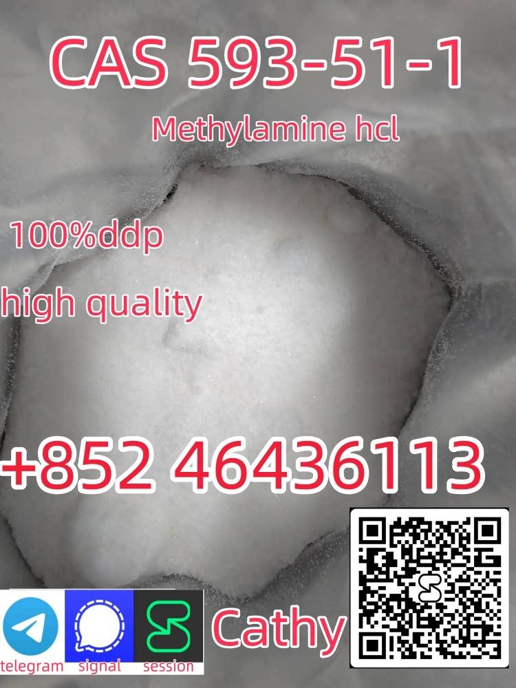 99 %Purity Methylamine Hydrochloride Cas 593-51-1 Factory Supply   Add +852 46436113