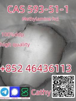 99 %Purity Methylamine Hydrochloride Cas 593-51-1 Factory Supply   Add +852 46436113