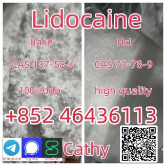 Manufacturer Supply Raw Material CAS 137-58-6 Lidocaine  Add +852 46436113 