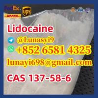 Lidocaine CAS 137-58-6