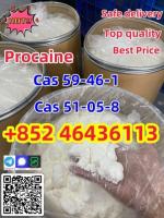 Procaine /procaine Base Cas 59-46-1 Free Sample Fast Delivery  Add +852 46436113 