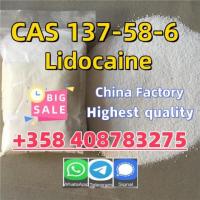 High Quality API Local Lidocaine Powder CAS 137-58-6  