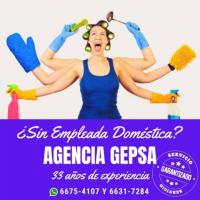 Servicio Doméstico Garantizado, Agencia GEPSA, 33 años