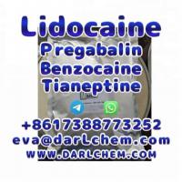 Lidocaine Tianeptine pregabalin raw Powder 137-58-6 China Factory