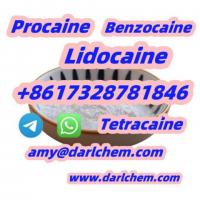 Lidocaine Benzocaine Procaine raw Powder 137-58-6 Low price