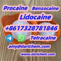 Lidocaine Benzocaine Procaine raw Powder 137-58-6 High Quality
