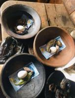 The Most Powerful SpirItual Herbalist Native Doctor IN Nigeria+2349159450040