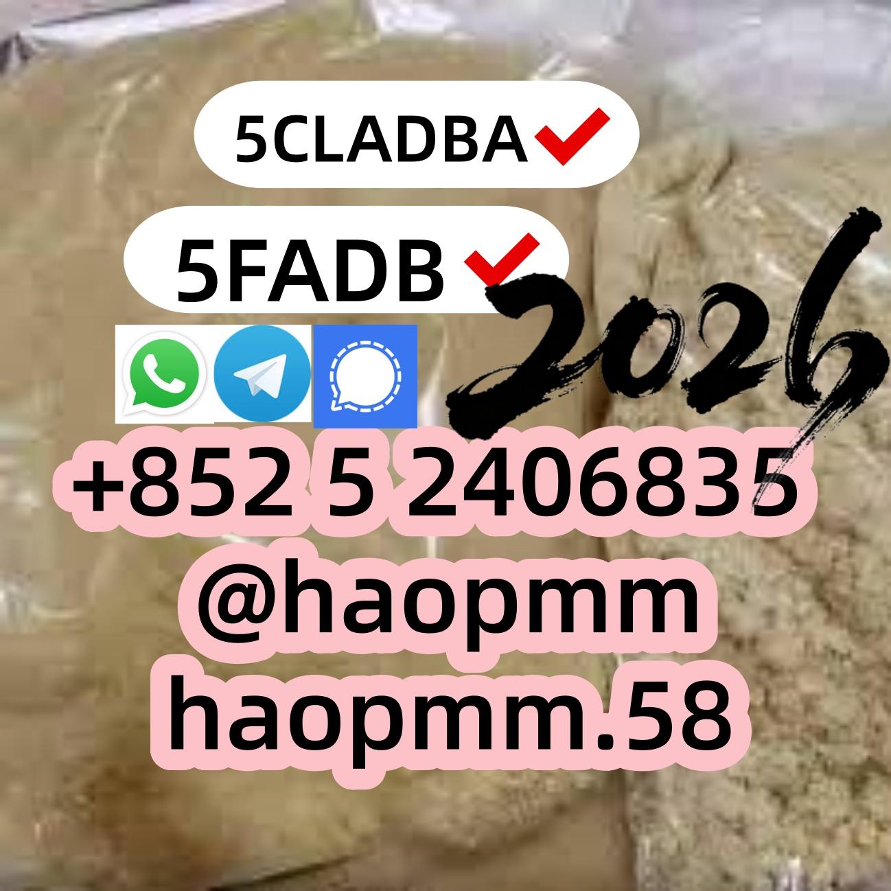 5F raw material 5cladba precursor raw 5cl  Tim please contact me.