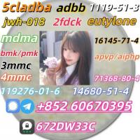 Safe delivery CAS 119276-01-6 China Factory