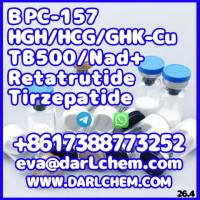 peptides Injections Tirzepatide peptideraw material cas:2023788-19-2 Door to Door