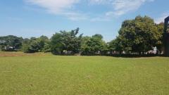 Terreno comercial en renta en Escuintla Guatemala