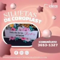 ✨ SILUETAS DE COROPLAST PERSONALIZADAS ✨